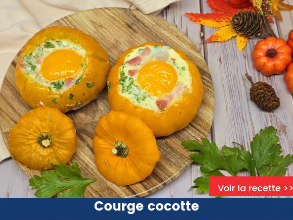 Courge cocotte